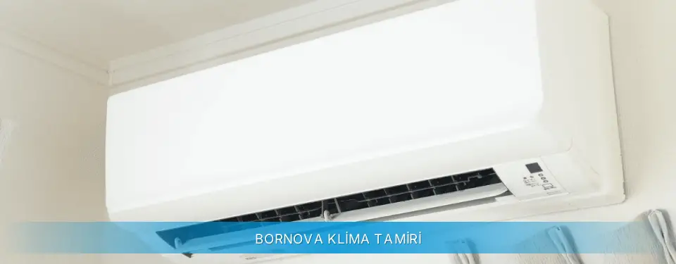 Bornova İlçemi Profilo Klima Tamiri